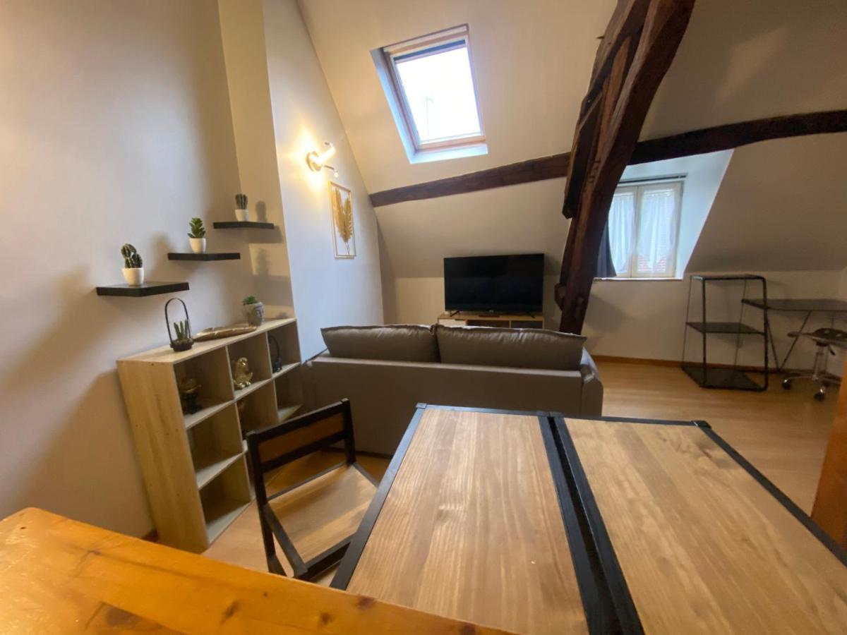 Le Puits Du Bourg Apartment Nevers Ngoại thất bức ảnh