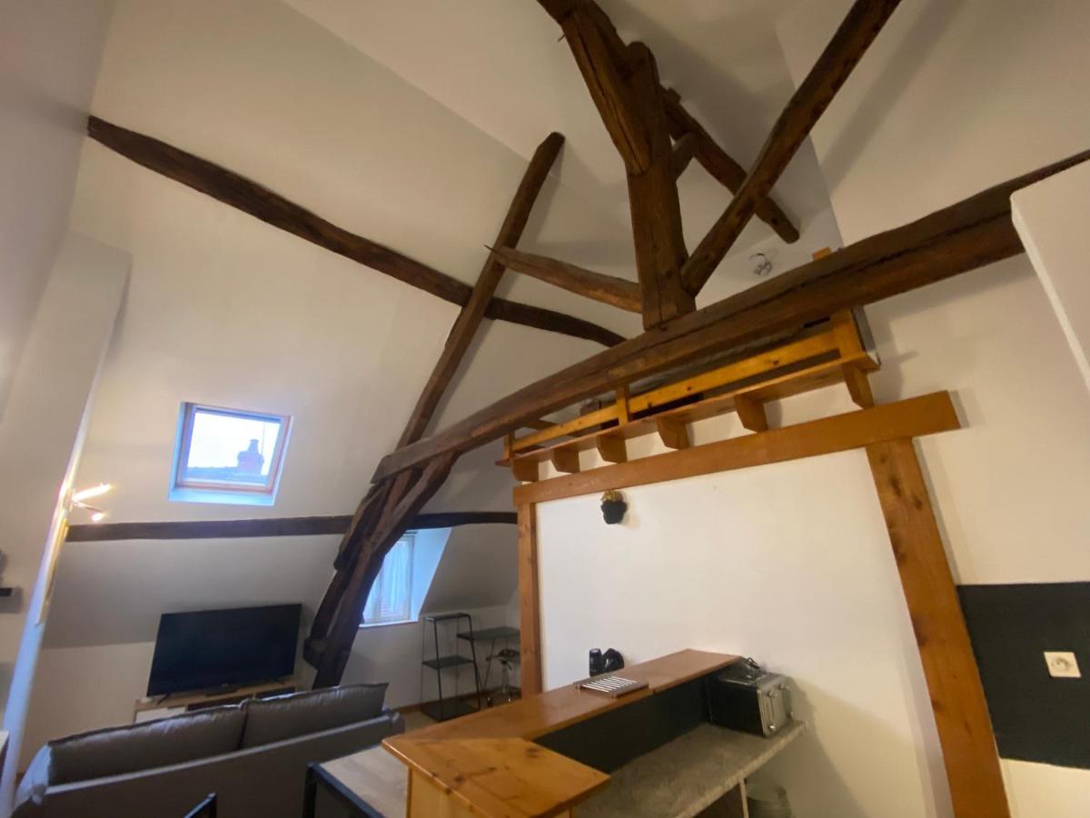 Le Puits Du Bourg Apartment Nevers Ngoại thất bức ảnh
