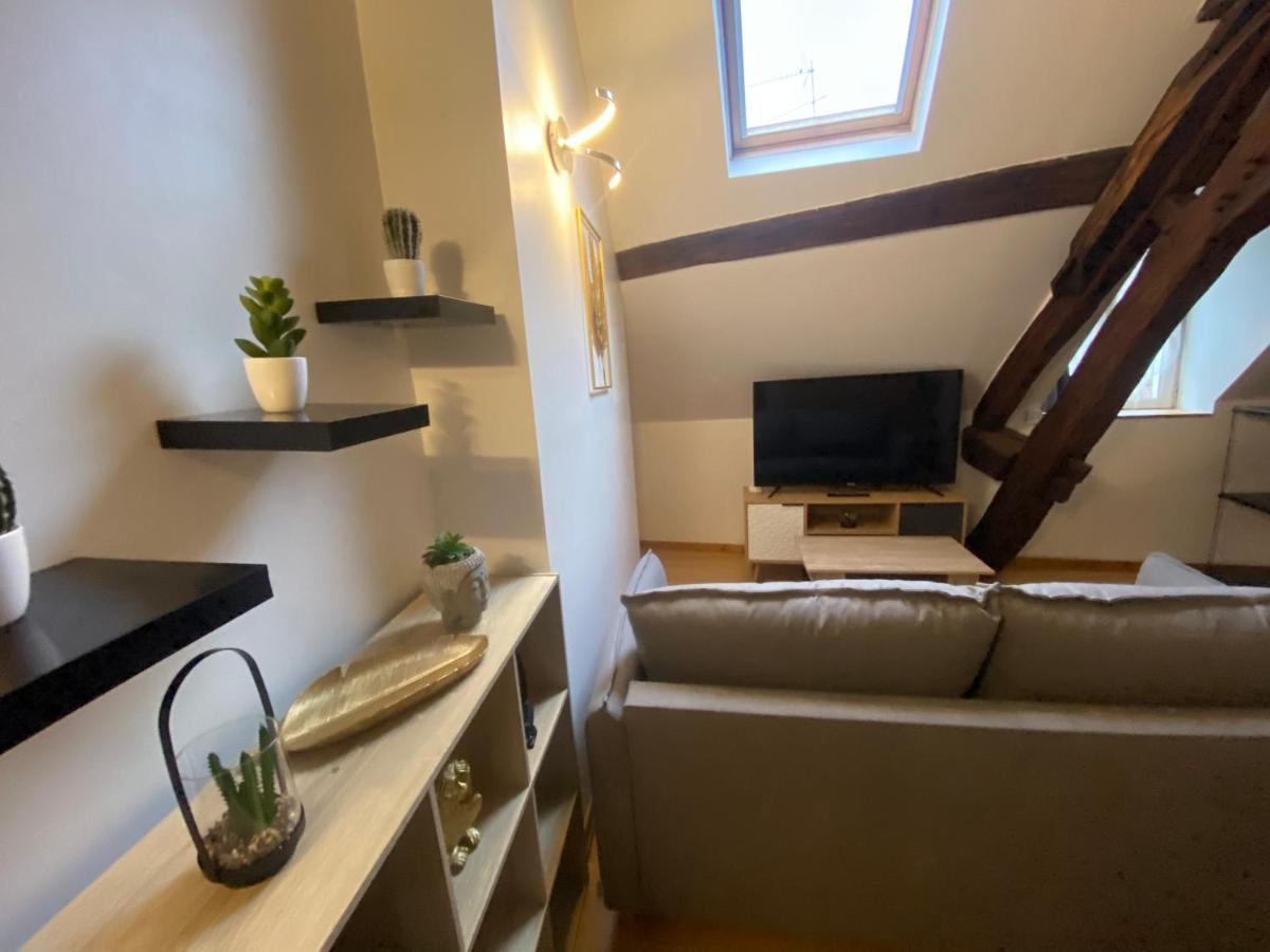 Le Puits Du Bourg Apartment Nevers Ngoại thất bức ảnh