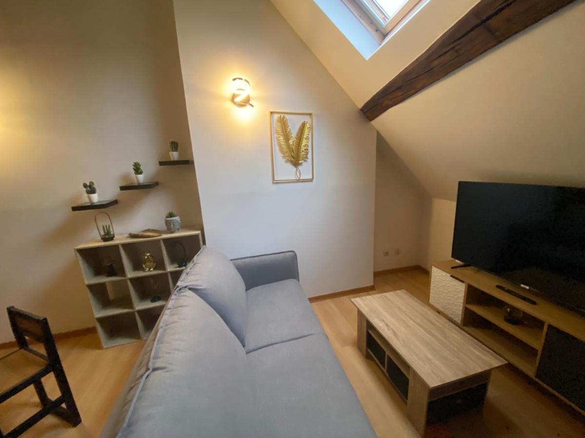 Le Puits Du Bourg Apartment Nevers Ngoại thất bức ảnh