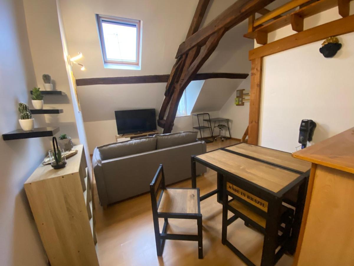Le Puits Du Bourg Apartment Nevers Ngoại thất bức ảnh