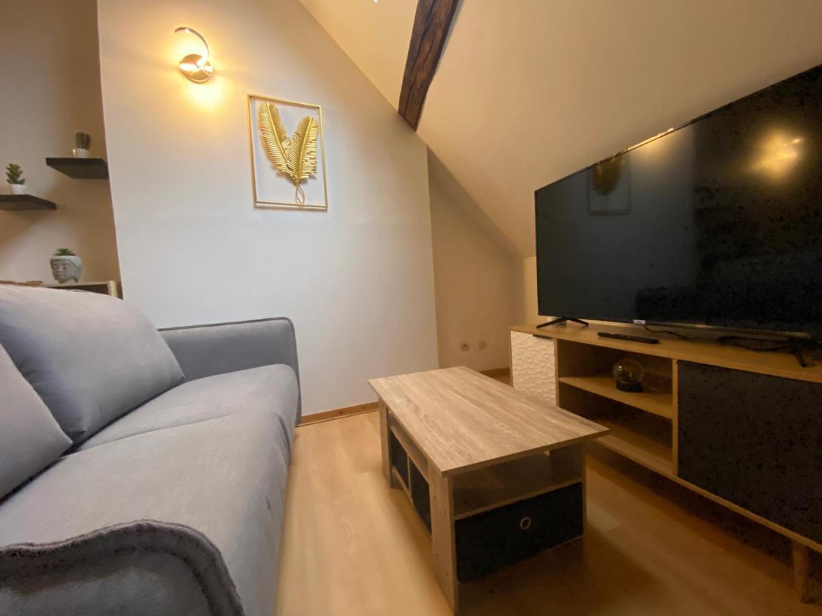 Le Puits Du Bourg Apartment Nevers Ngoại thất bức ảnh